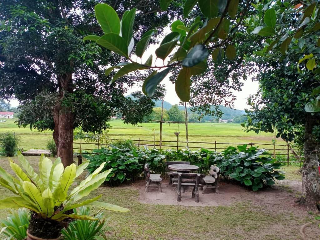 Kampung Tok Lembut Vacation Home パンタイ・サナング エクステリア 写真