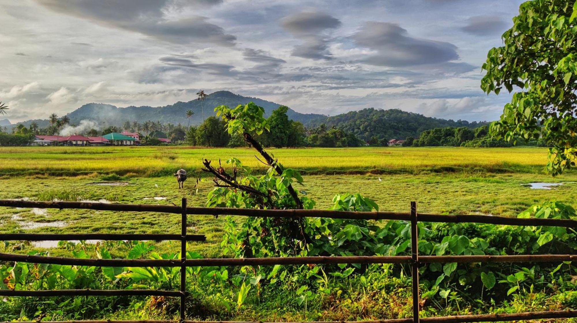 Kampung Tok Lembut Vacation Home パンタイ・サナング エクステリア 写真