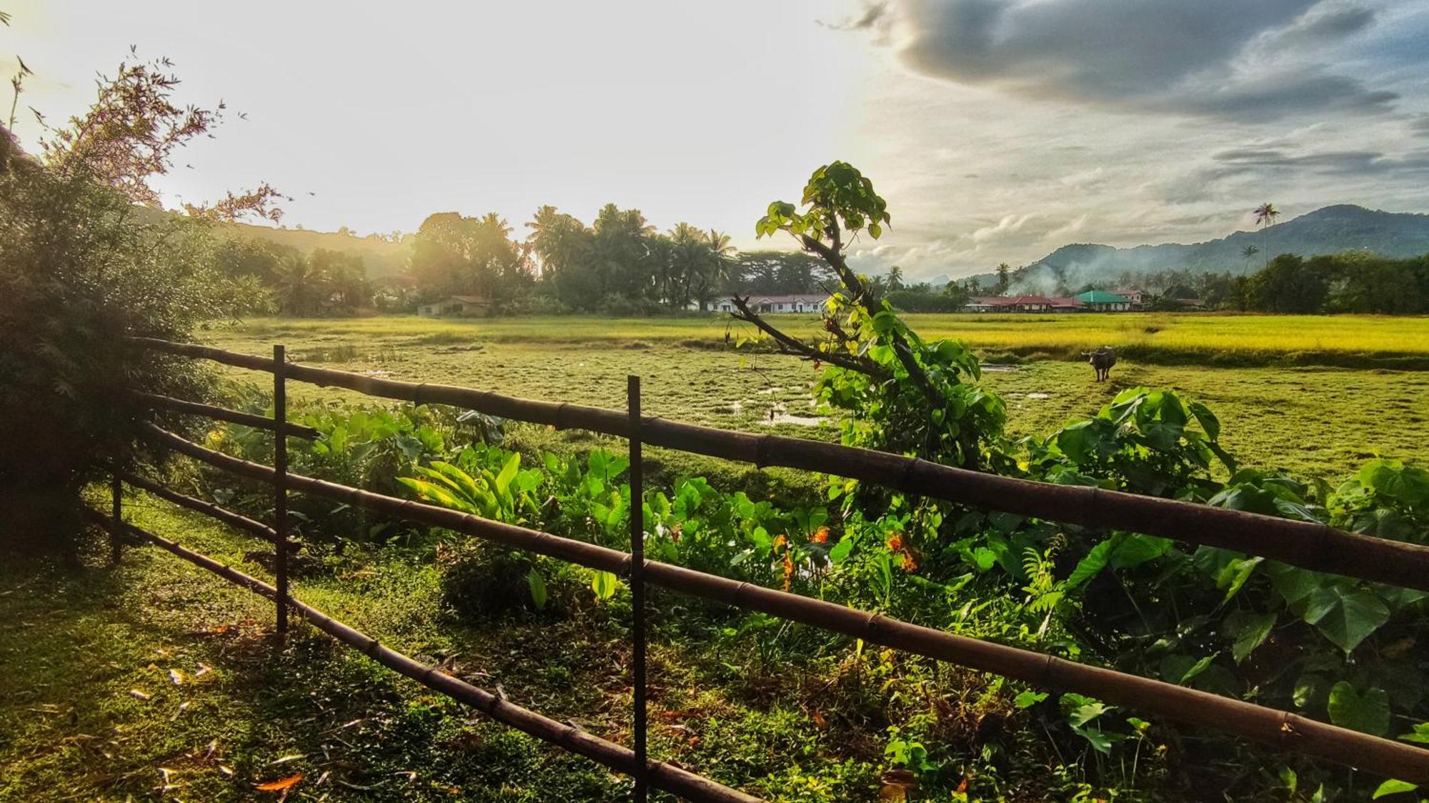 Kampung Tok Lembut Vacation Home パンタイ・サナング エクステリア 写真